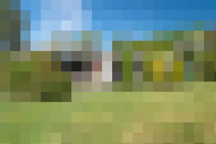 Fazantenlaan 4 Haren Gn thumbnail 37