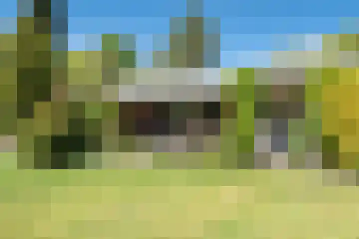 Fazantenlaan 4 Haren Gn thumbnail 38