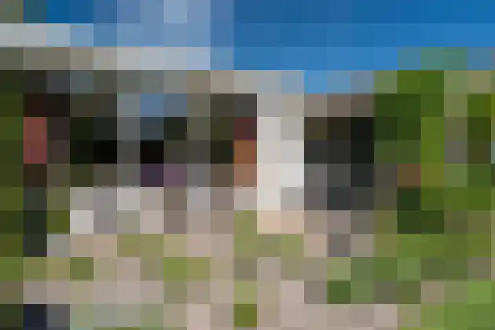Fazantenlaan 4 Haren Gn thumbnail 39