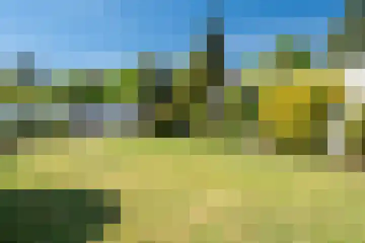 Fazantenlaan 4 Haren Gn thumbnail 41