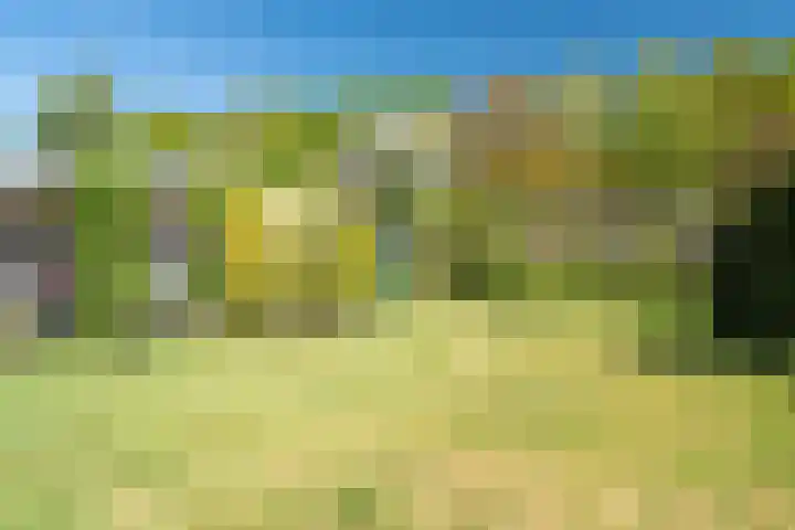 Fazantenlaan 4 Haren Gn thumbnail 42