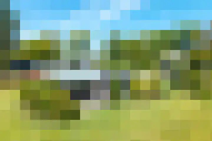 Fazantenlaan 4 Haren Gn thumbnail 44