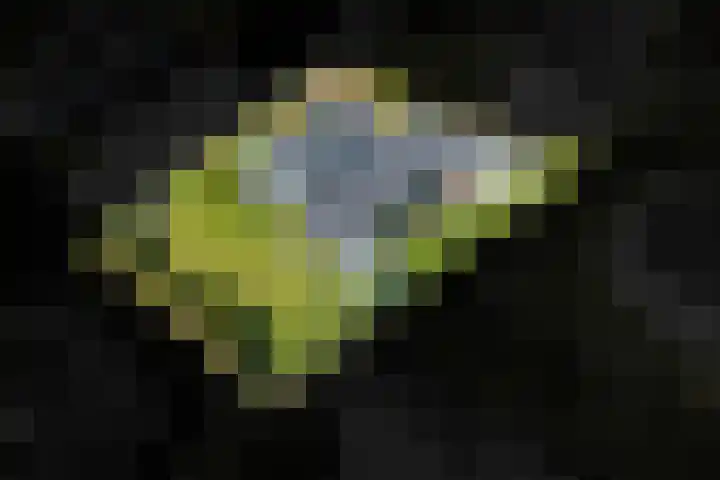 Fazantenlaan 4 Haren Gn thumbnail 46