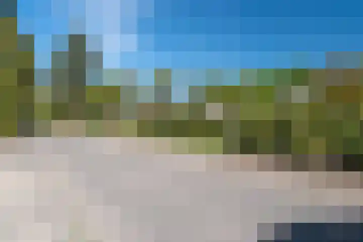 Fazantenlaan 4 Haren Gn thumbnail 5