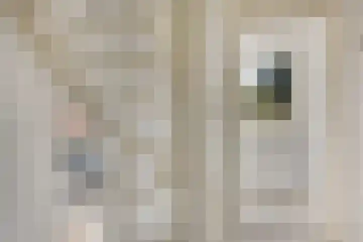 Fazantenlaan 5 Bennebroek thumbnail 18