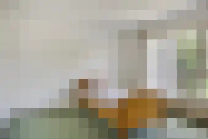 Fazantenlaan 5 Bennebroek thumbnail 20