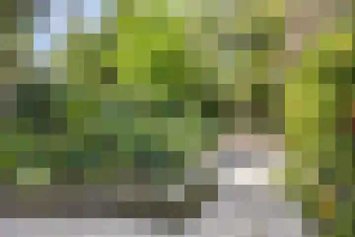 Fazantenlaan 5 Bennebroek thumbnail 32