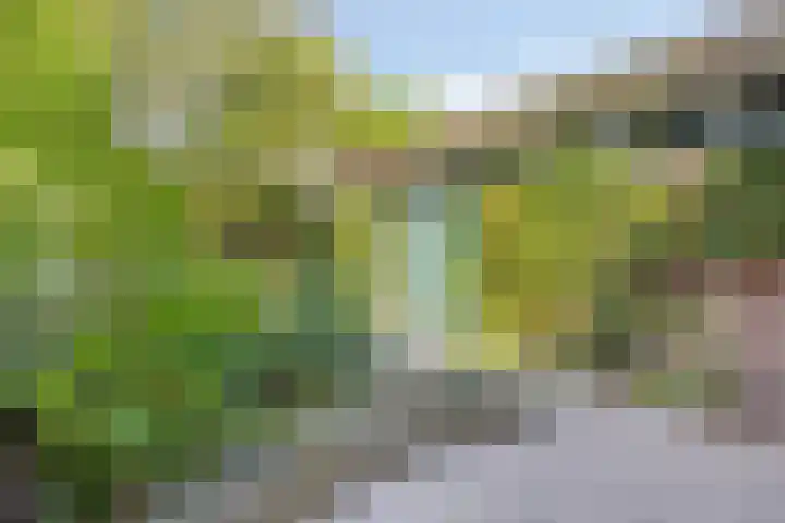 Fazantenlaan 5 Bennebroek thumbnail 33
