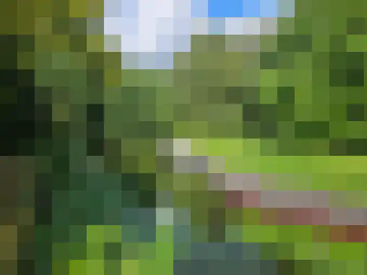 Fazantenlaan 5 Bennebroek thumbnail 39