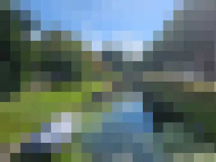 Fazantenlaan 5 Bennebroek thumbnail 40