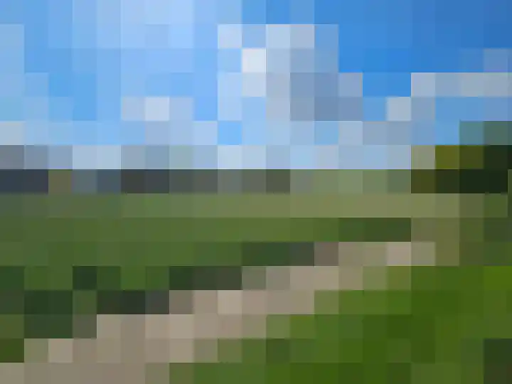 Fazantenlaan 5 Bennebroek thumbnail 41