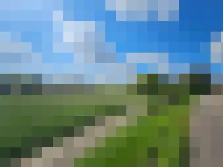 Fazantenlaan 5 Bennebroek thumbnail 42