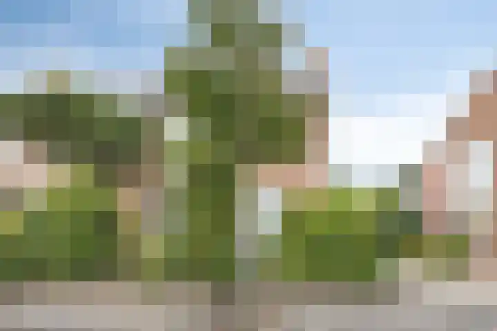 Fazantenlaan 5 Bennebroek thumbnail 44