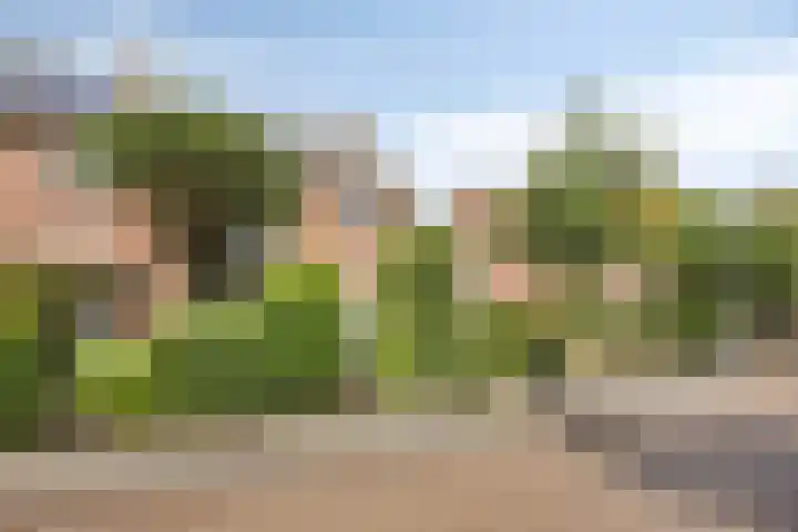 Fazantenlaan 5 Bennebroek thumbnail 45