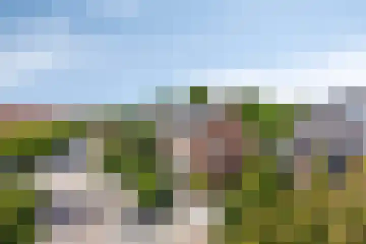 Fazantenlaan 5 Bennebroek thumbnail 46