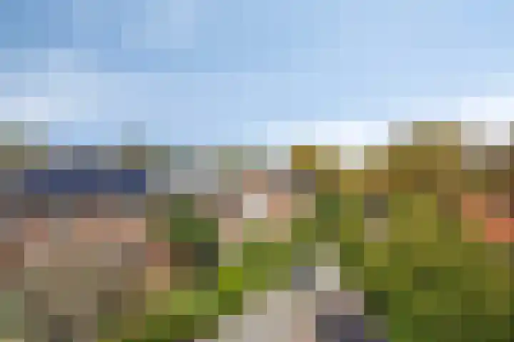 Fazantenlaan 5 Bennebroek thumbnail 47