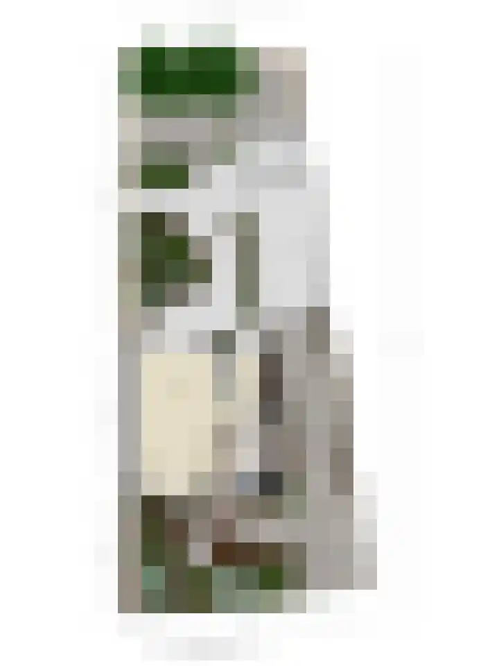 Fazantenlaan 5 Bennebroek thumbnail 49