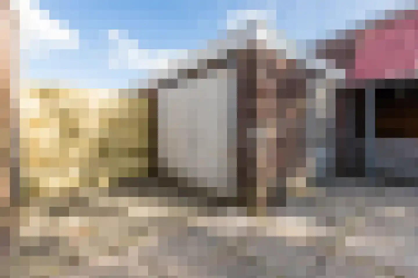 Fazantenlaan 6 Egmond-Binnen thumbnail 61