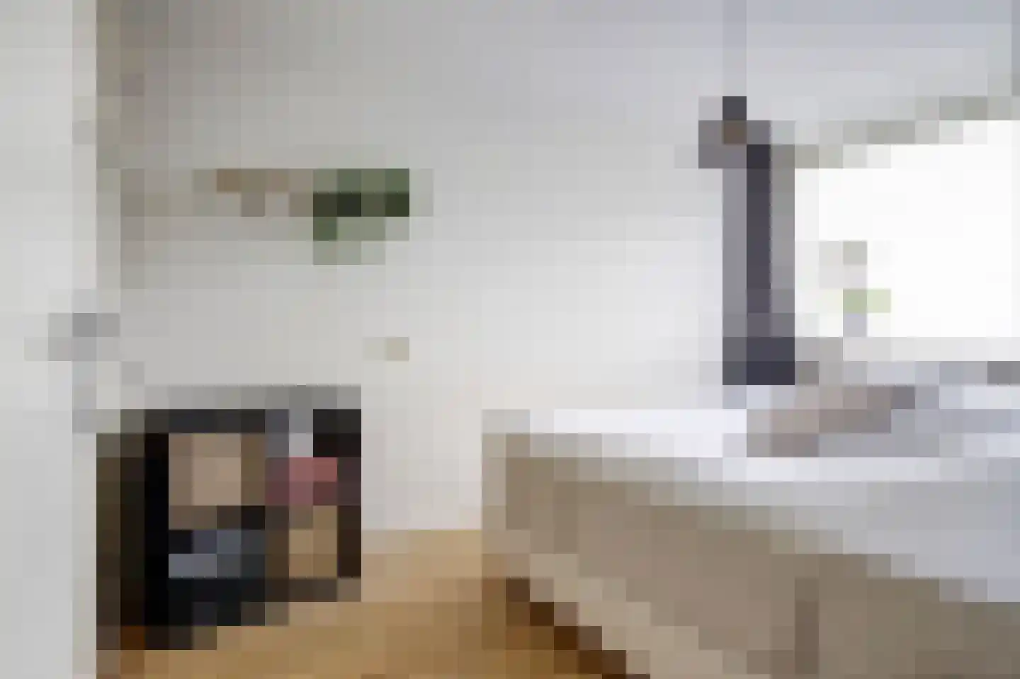 Fazantenlaan 6 Sint Pancras thumbnail 16