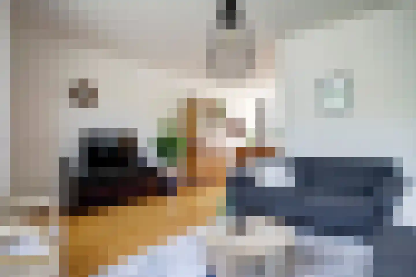 Fazantenlaan 6 Sint Pancras thumbnail 6