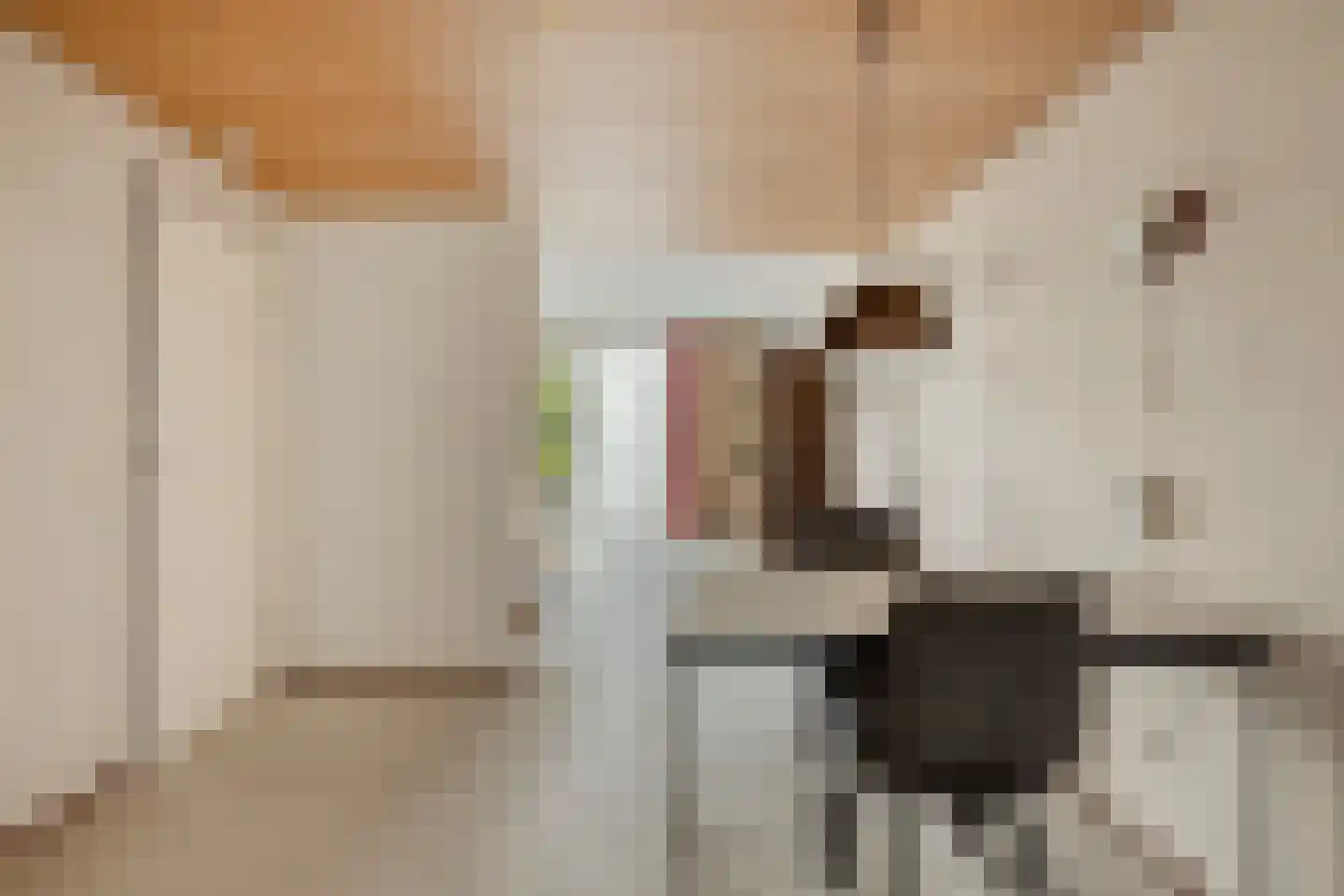 Fazantenlaan 7 Nieuwerkerk thumbnail 10