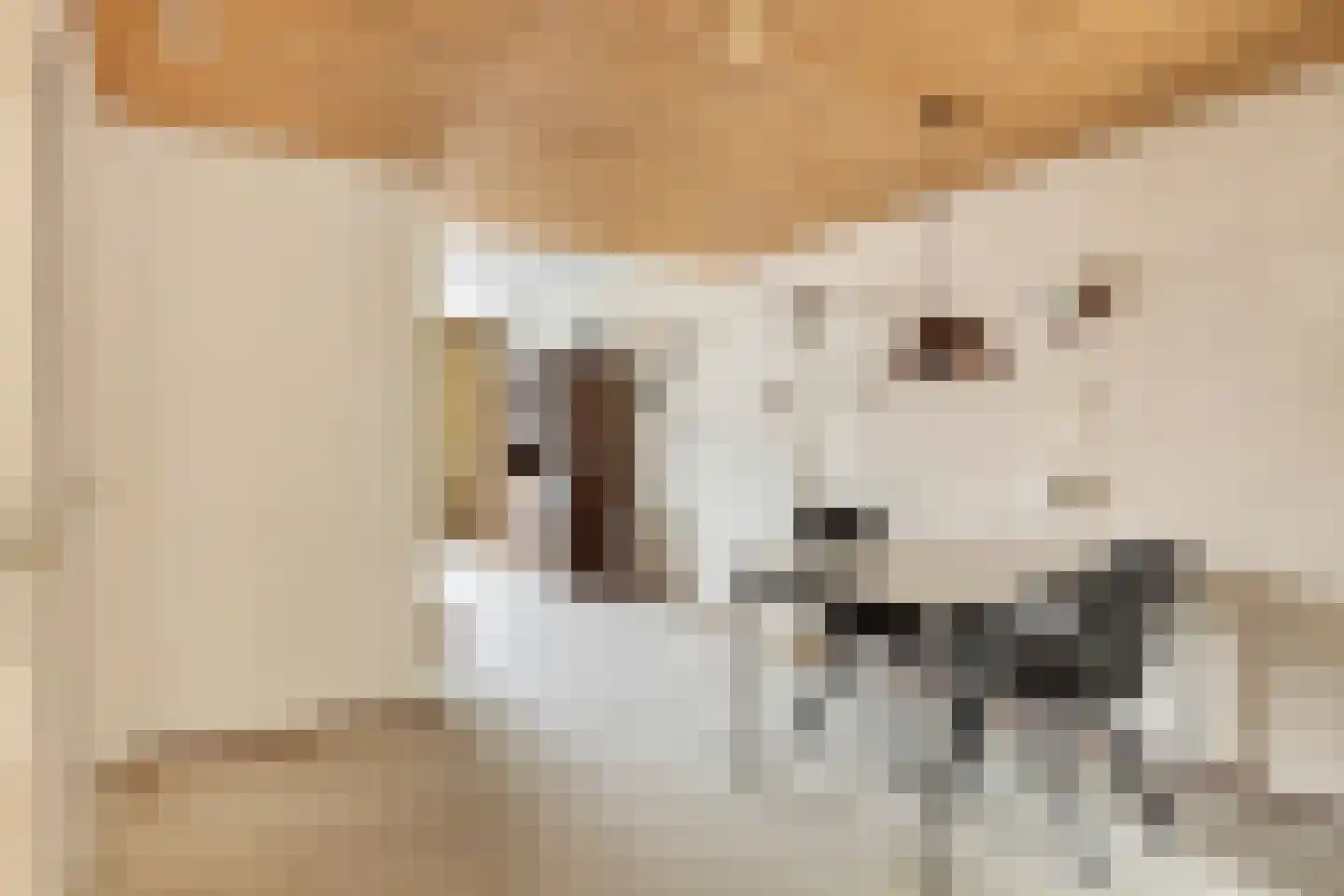 Fazantenlaan 7 Nieuwerkerk thumbnail 11