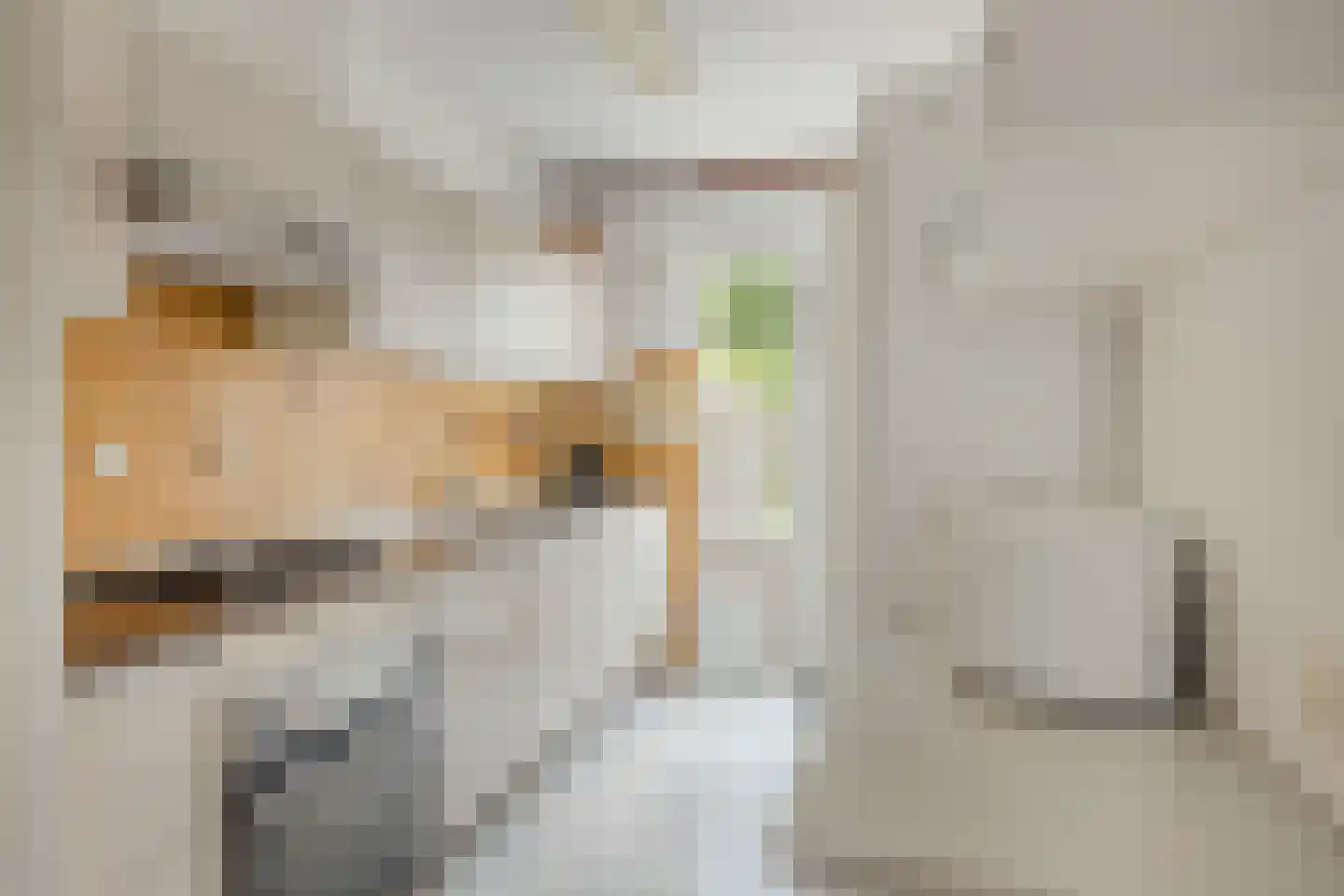 Fazantenlaan 7 Nieuwerkerk thumbnail 12