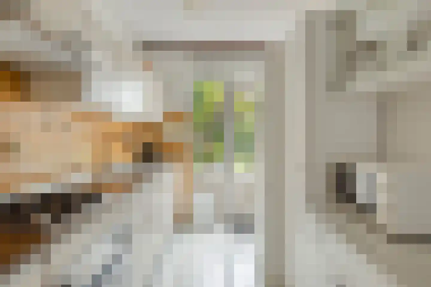 Fazantenlaan 7 Nieuwerkerk thumbnail 13