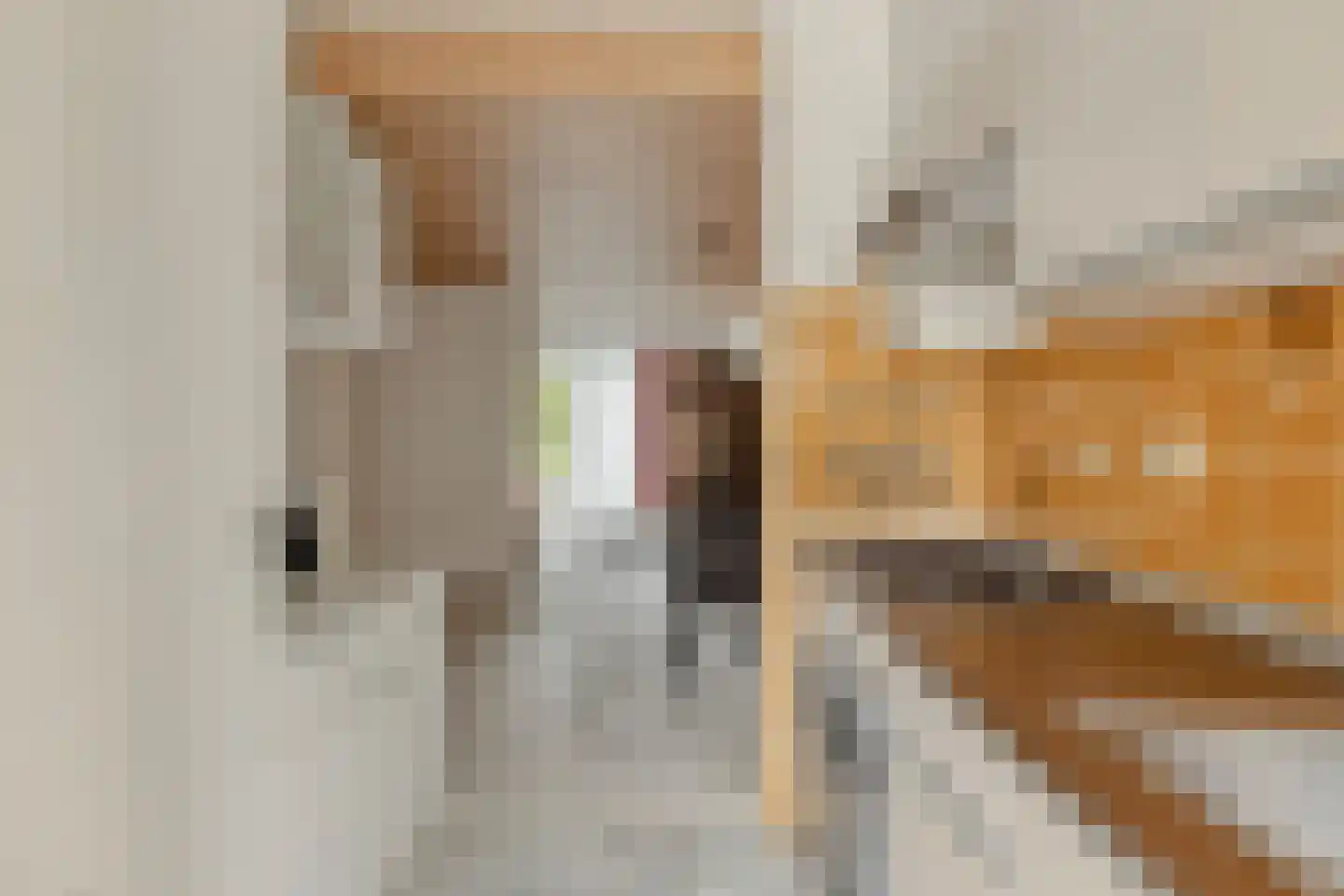 Fazantenlaan 7 Nieuwerkerk thumbnail 14