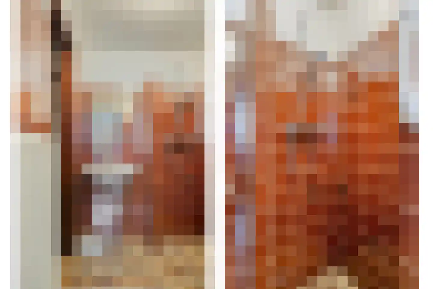 Fazantenlaan 7 Nieuwerkerk thumbnail 19