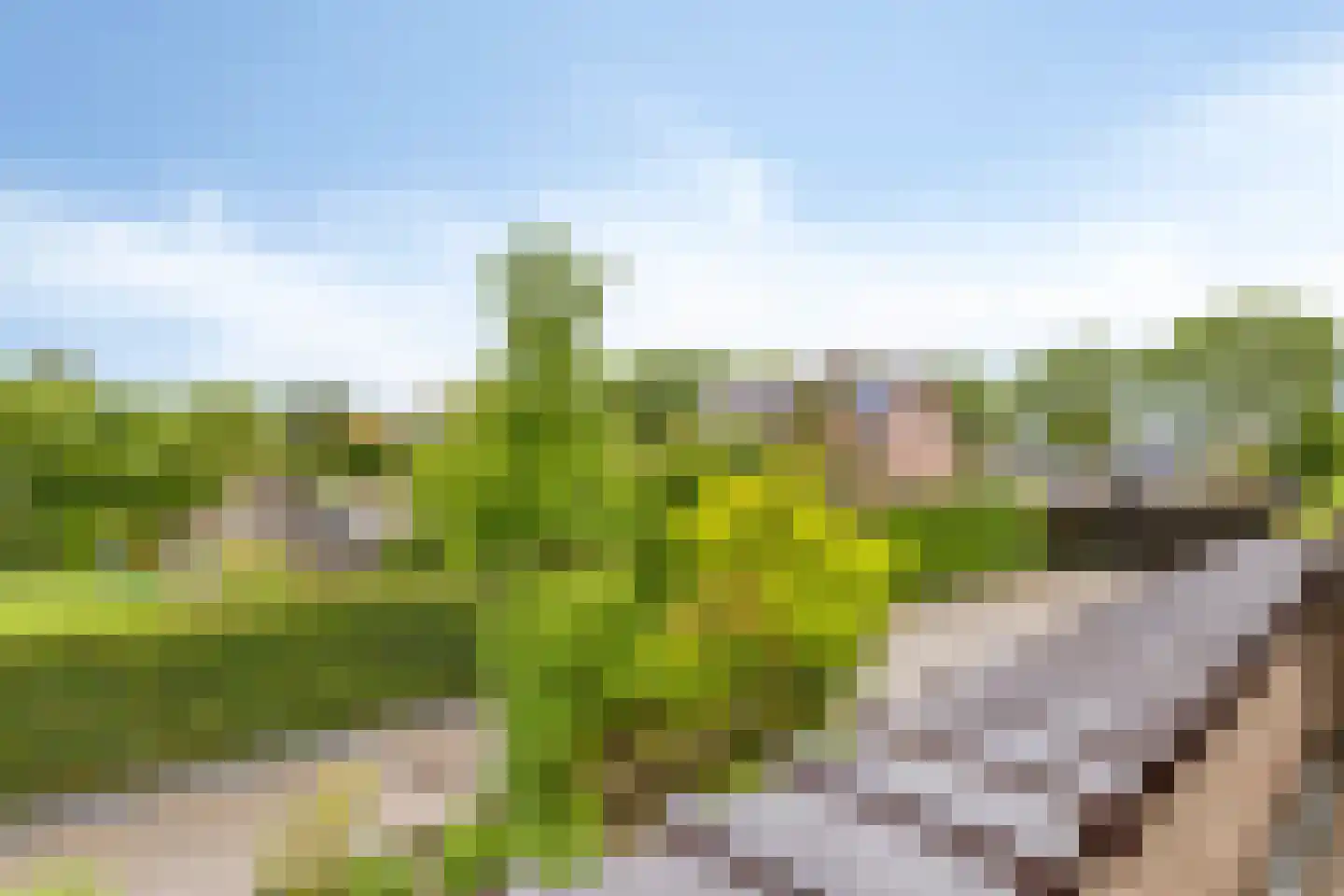 Fazantenlaan 7 Nieuwerkerk thumbnail 36