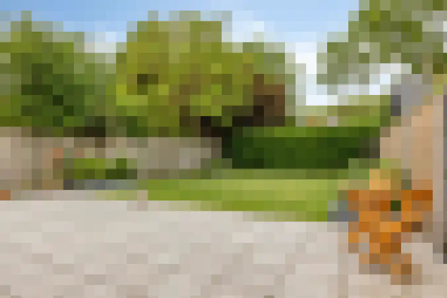 Fazantenlaan 7 Nieuwerkerk thumbnail 41