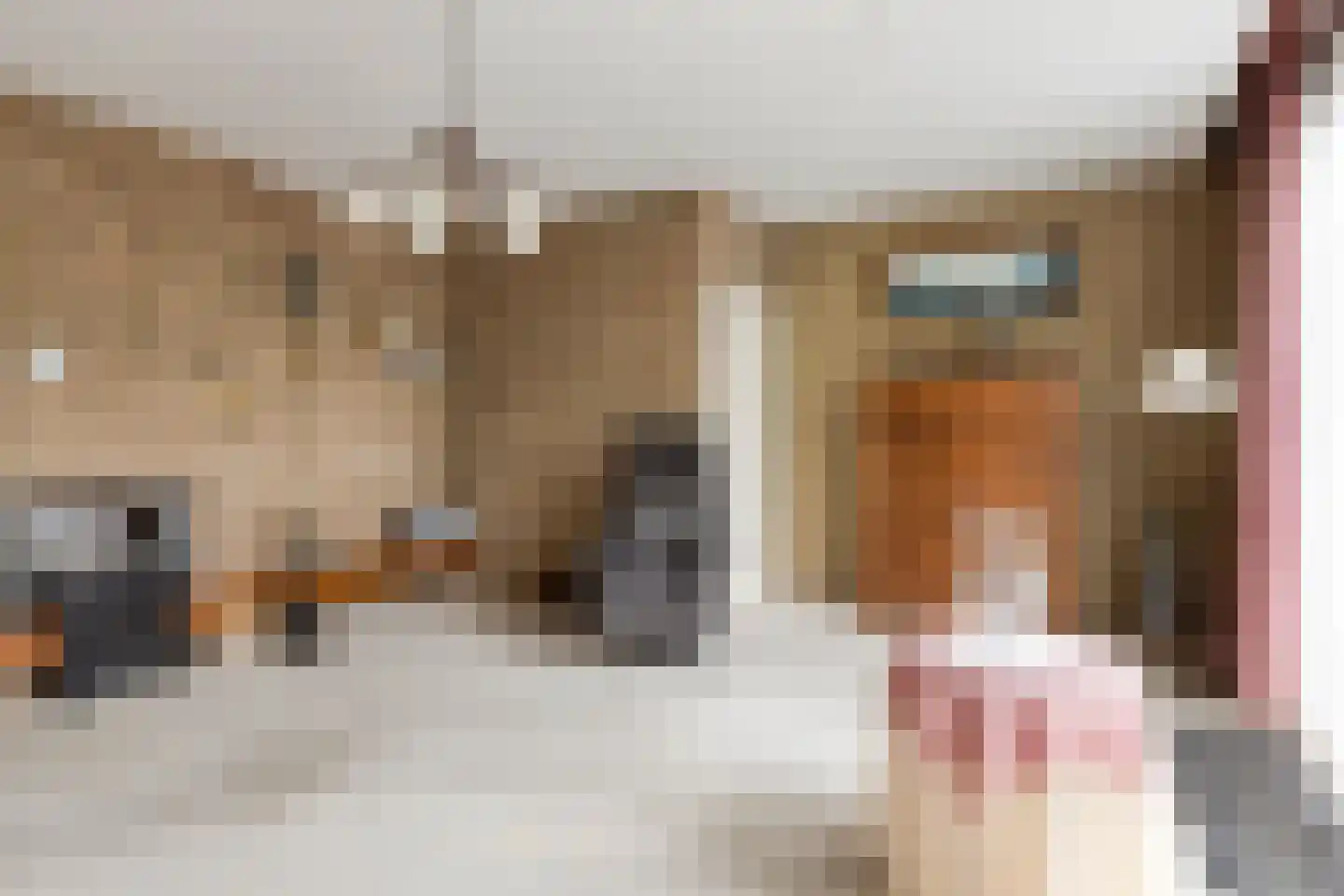 Fazantenlaan 7 Nieuwerkerk thumbnail 5