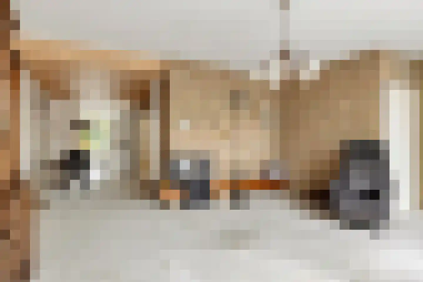 Fazantenlaan 7 Nieuwerkerk thumbnail 6