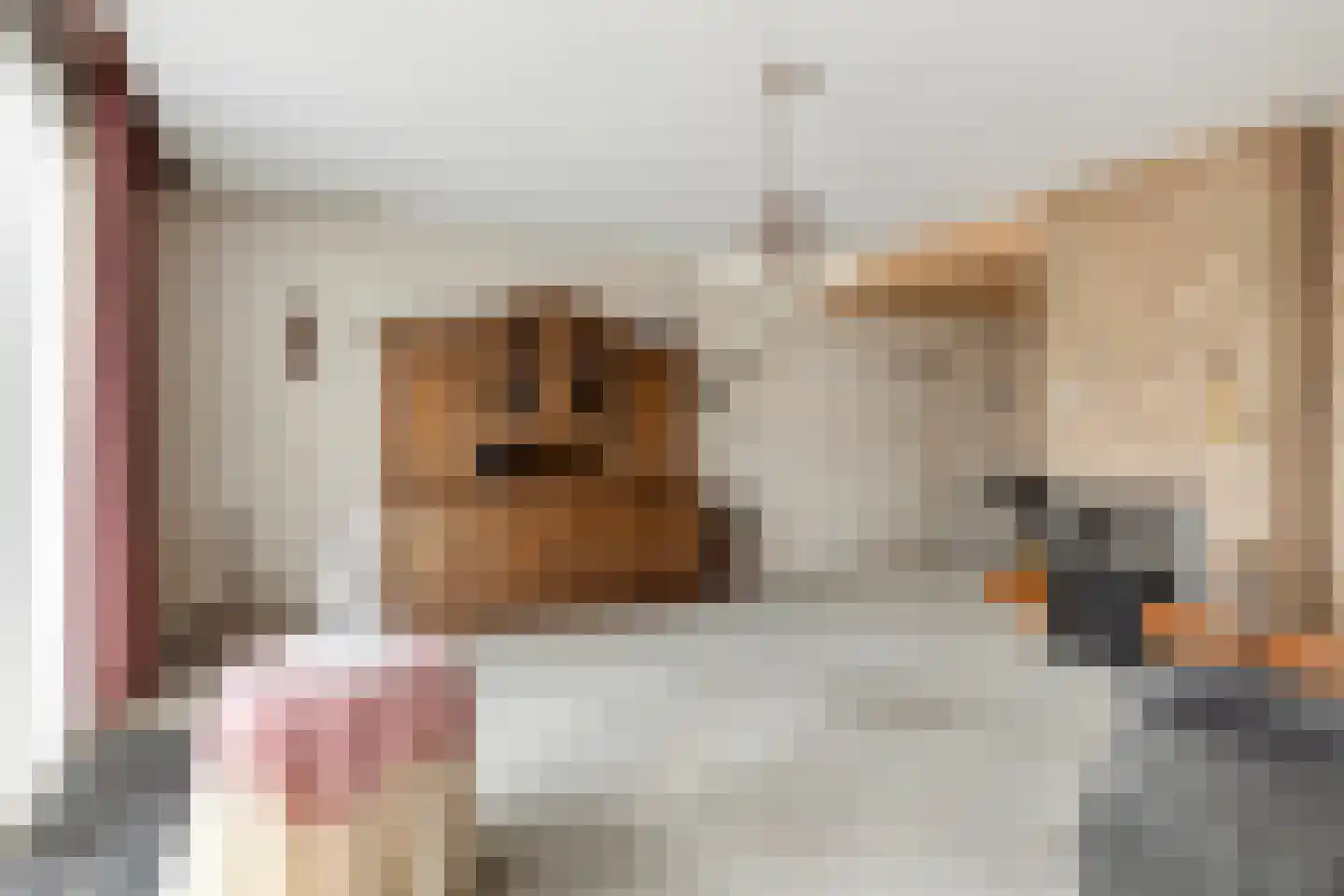 Fazantenlaan 7 Nieuwerkerk thumbnail 7