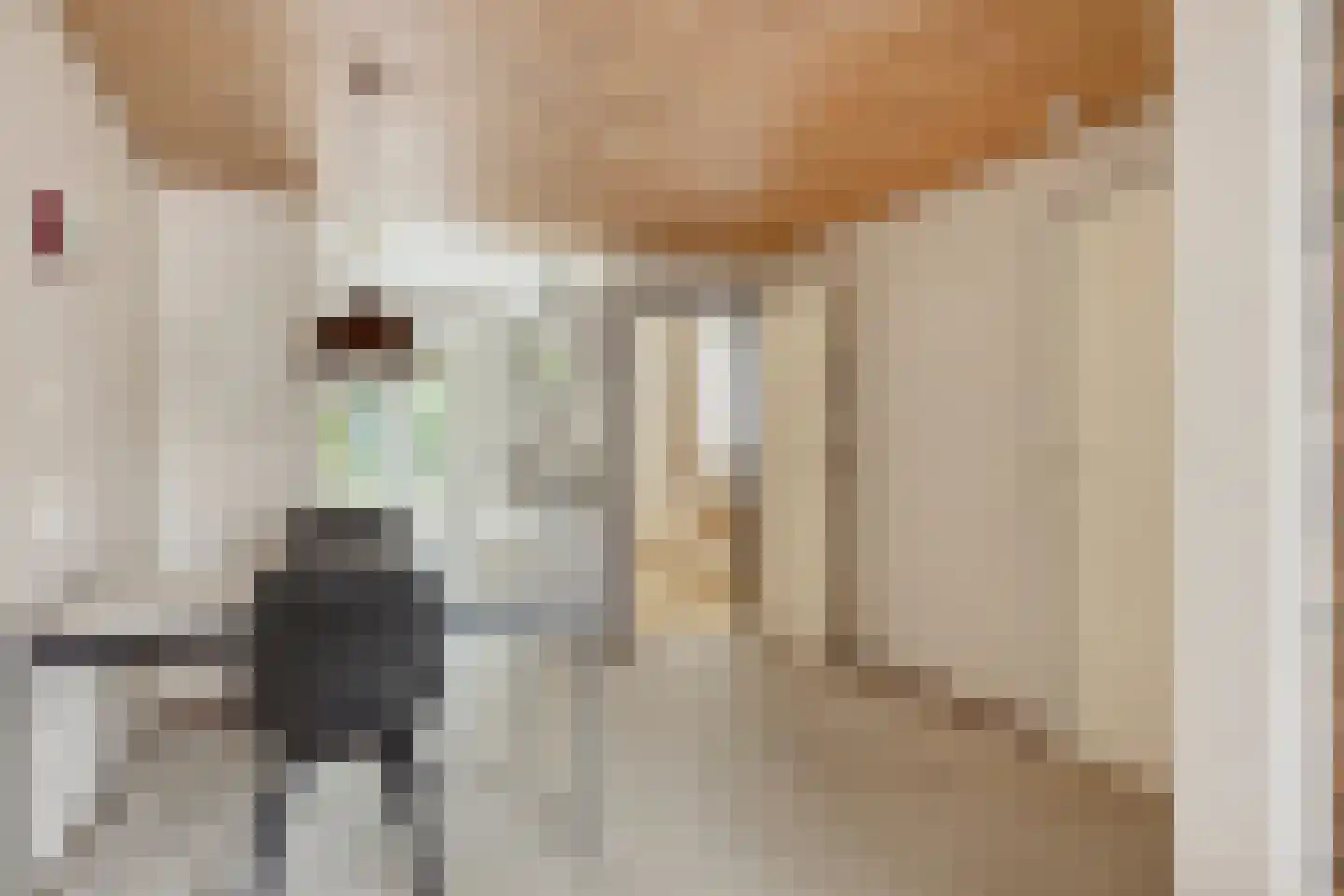 Fazantenlaan 7 Nieuwerkerk thumbnail 9