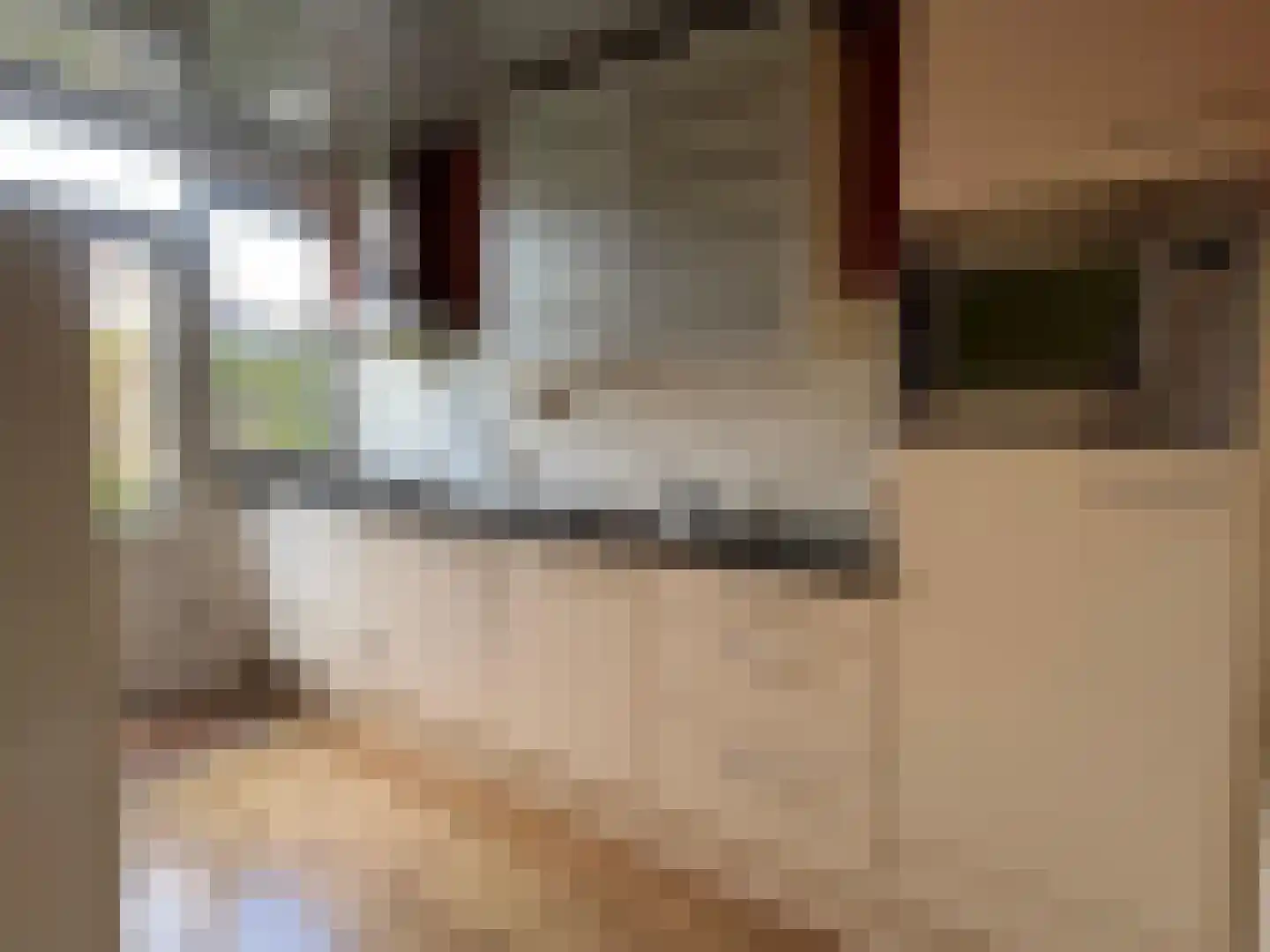 Fazantenlaan 9 Wieringerwaard thumbnail 12