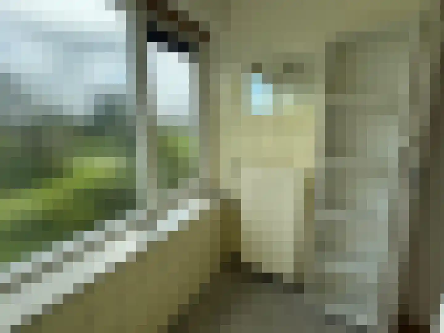 Fazantenlaan 9 Wieringerwaard thumbnail 16