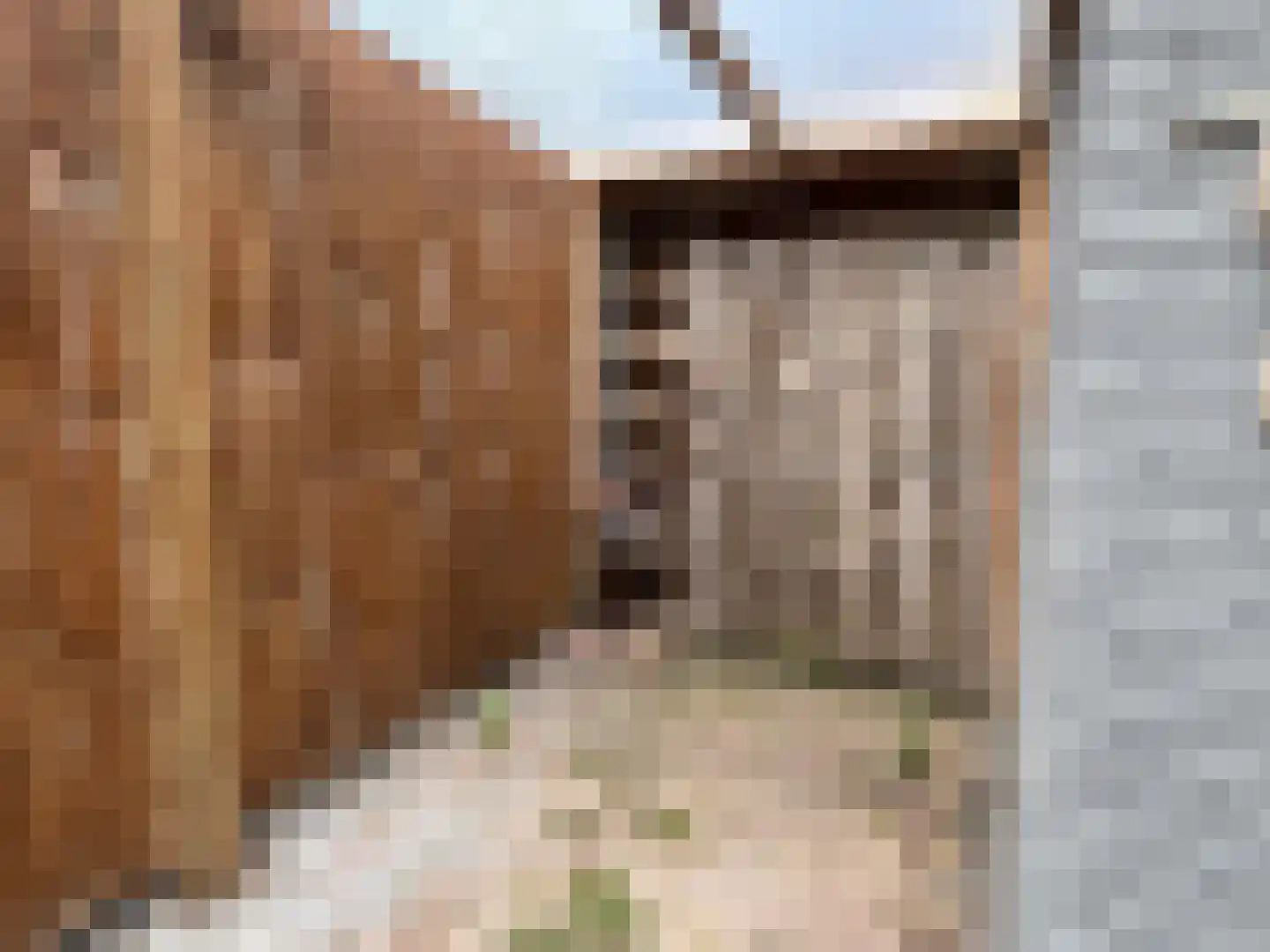 Fazantenlaan 9 Wieringerwaard thumbnail 32