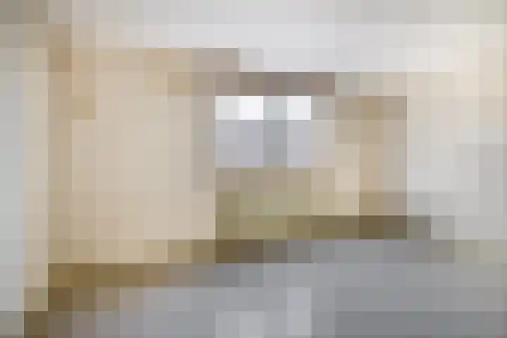 Fazantenpad 10 Tegelen thumbnail 12