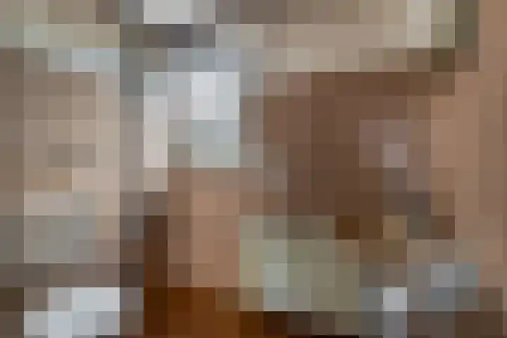 Fazantenpad 10 Tegelen thumbnail 14