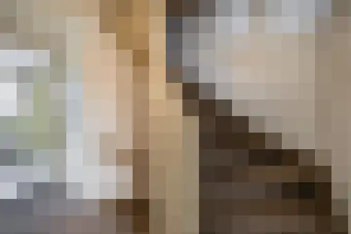 Fazantenpad 10 Tegelen thumbnail 15