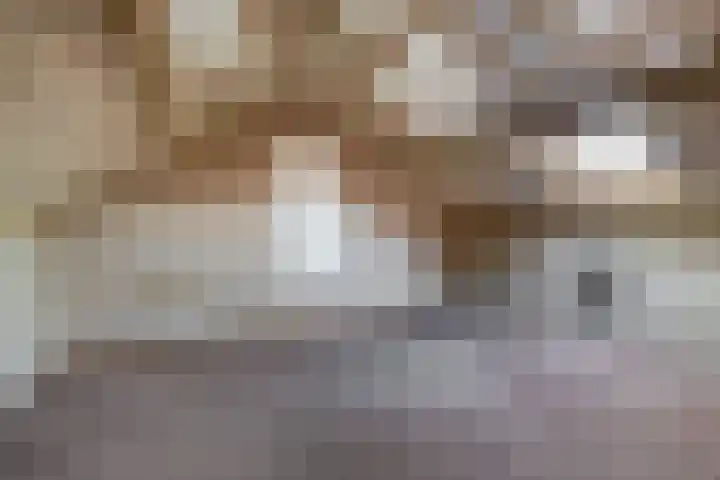Fazantenpad 10 Tegelen thumbnail 16