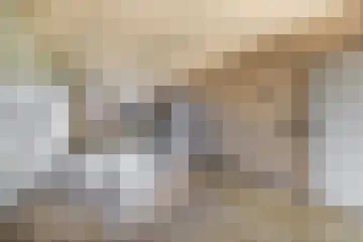 Fazantenpad 10 Tegelen thumbnail 4