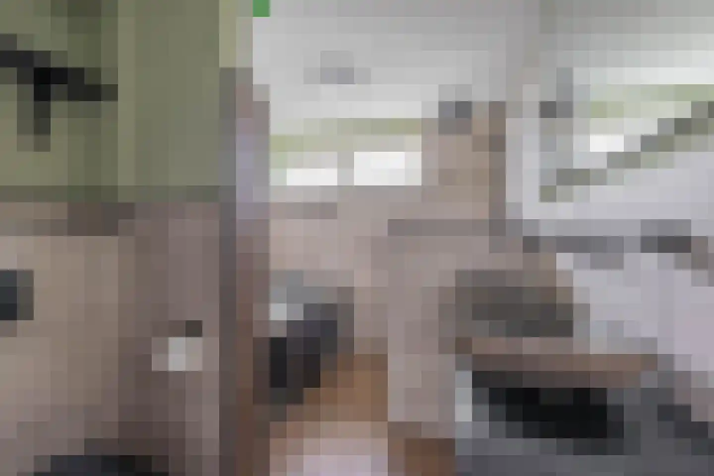 Fazantenpad 3 Rozenburg thumbnail 20