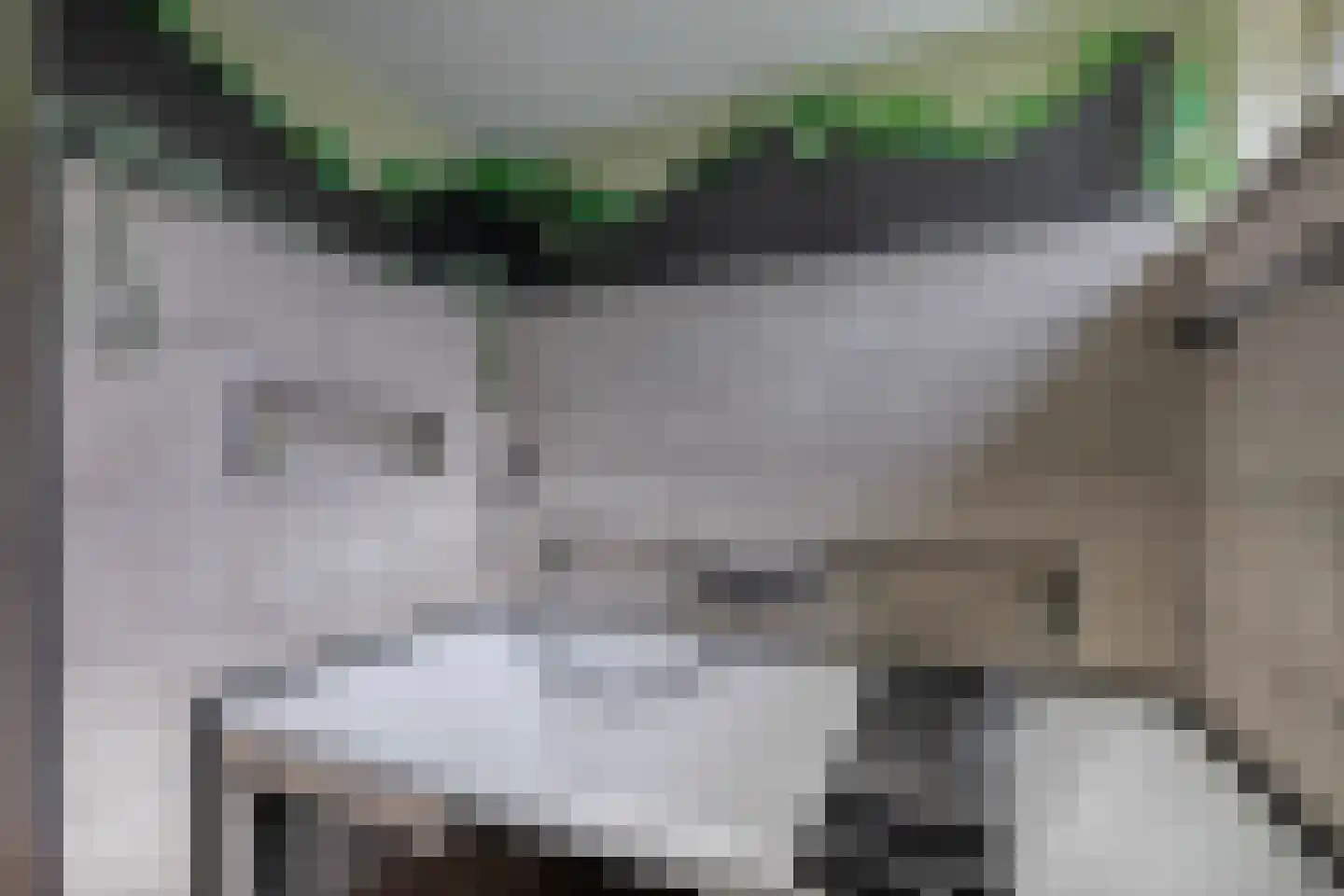 Fazantenpad 3 Rozenburg thumbnail 23