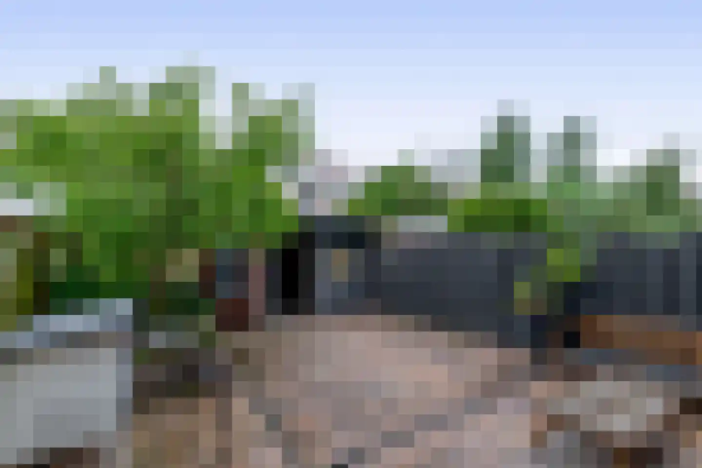 Fazantenpad 3 Rozenburg thumbnail 4