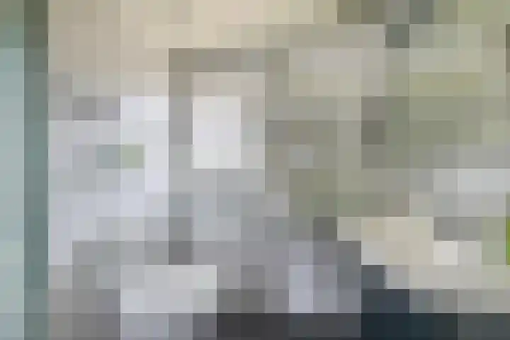 Fazantenpad 6 Tegelen thumbnail 13
