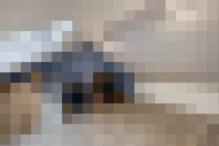 Fazantenpad 6 Tegelen thumbnail 19