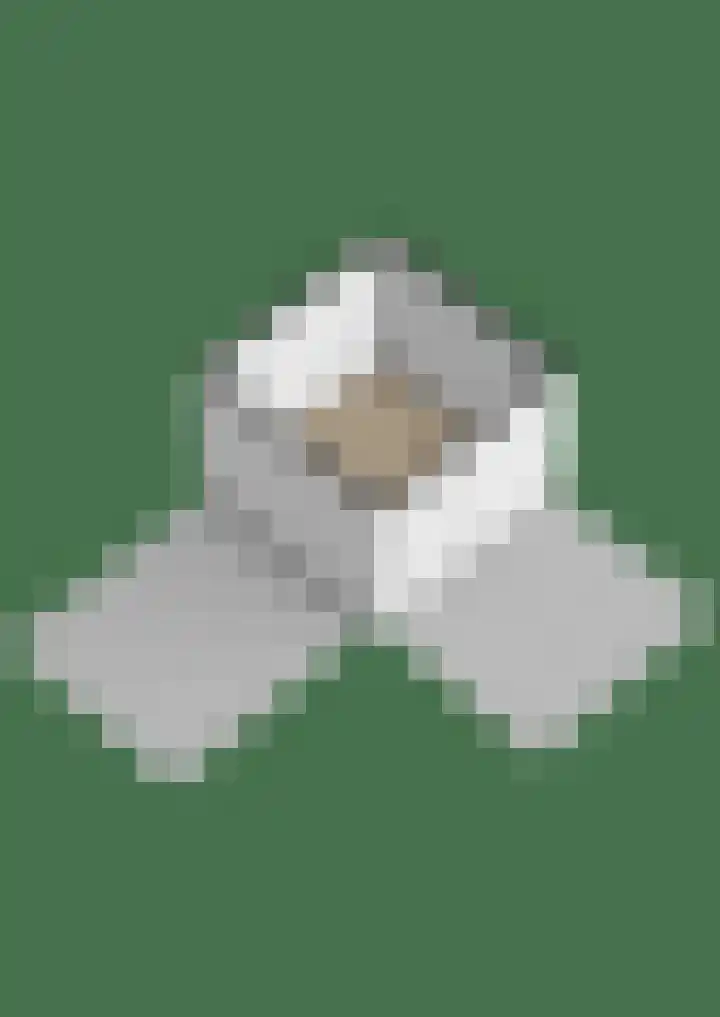 Fazantenpad 6 Tegelen thumbnail 31